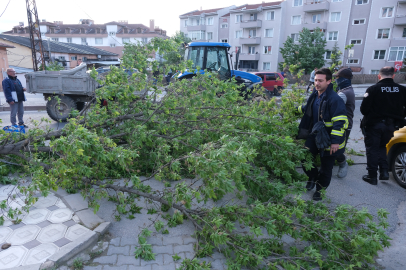 Kırklareli'nde şiddetli rüzgar etkili oldu