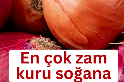 En çok zam kuru soğana