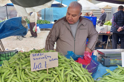 Karaağaç baklası pazar tezgahında