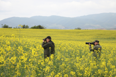 Sarı ve yeşilin tonları fotoğraf tutkunlarını ağırlıyor