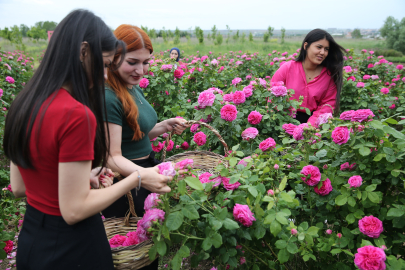 Edirne'de yine her yerde güller açacak