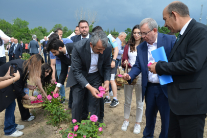 İlk gül hasadı Vali Sezer ve Rektör Tabakoğlu’ndan