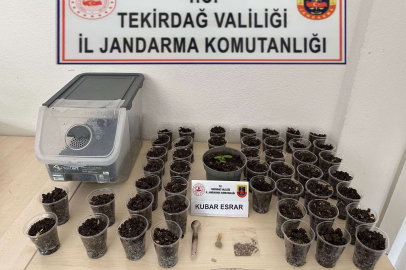 Tekirdağ’da uyuşturucu, silah ve tütün operasyonu