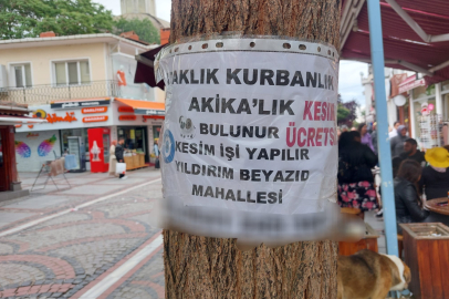 Kasaplar bayram için harekete geçti