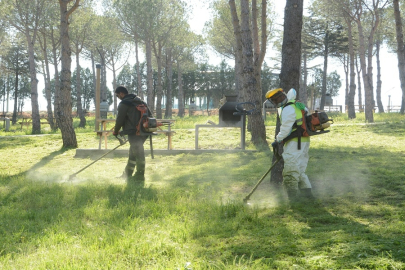 Büyükşehir daha yeşil bir Tekirdağ için çalışıyor