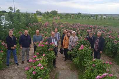 Tıbbi ve Aromatik Bitki Yetiştiriciliği Kursu tamamlandı