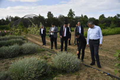 Vali Sezer, Tıbbi ve Aromatik Bitkiler Bahçesinde İncelemede Bulundu