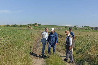 Havsa Belediyesi'nden Tarla Yollarına Bakım