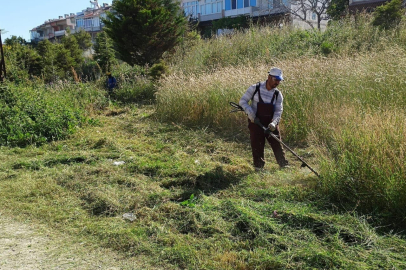 Yayla Sahilinde Ot Temizliği