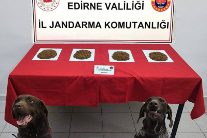 Edirne 300 Gram Bonzai Ele Geçirildi