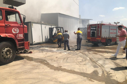 Edirne'de Bir Fabrikanın Bahçesinde Yangın Çıktı