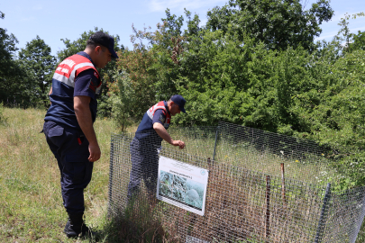 Edirne’de Jandarma Doğa İçin Yoğun Mesaide