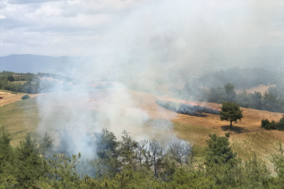 Adana'da Çıkan Orman Yangınına Müdahale Ediliyor