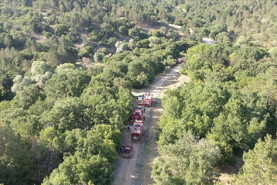 Edirne'de Ormanlık Alanlara Girişlerde Kısıtlama