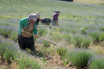 Lavantalar Turizm Sezonuna Hazırlanıyor