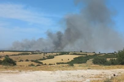 Çanakkale Ezine'de Ormanlık Alanda Etkili Olan Yangına Müdahale Ediliyor