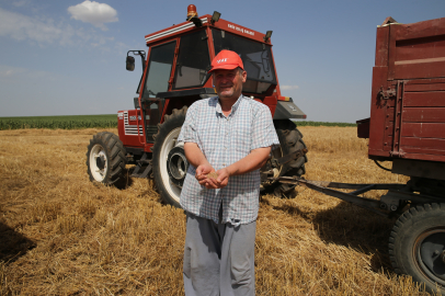 Edirne'de Buğday Hasadı Başladı