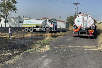 Tekirdağ'da 20 Dekar Buğday Ekili Alan Yandı