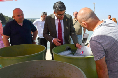 Istakoz Yavruları Denize Bırakıldı