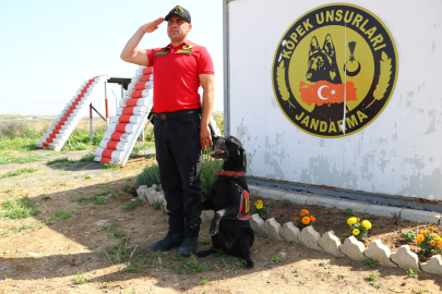 Uyuşturucu Tacirlerinin Zulaları Hassas Burunlu 