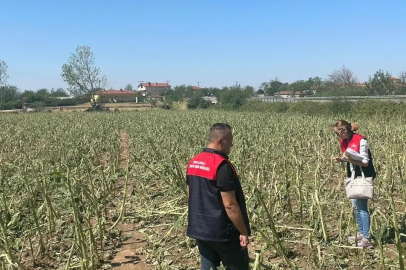 Kırklareli’nde Dolu Sonrası Hasar Tespit Çalışmaları