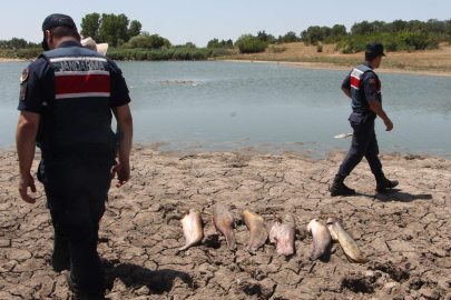 Edirne'de Gölette Toplu Balık Ölümleri