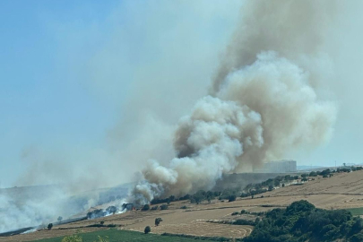 Tekirdağ’da Alev Alev Yanan Buğday Tarlası Küle Döndü