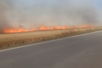 Tekirdağ’da 180 Dönüm Buğday Cayır Cayır Yandı: 3 Yaralı