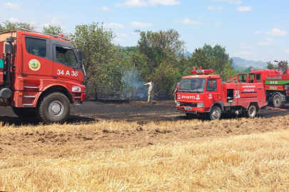 Edirne'de Anız Alanından Ormana Sıçrayan Yangın Söndürüldü