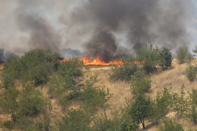 Edirne'de Buğday Tarlaları ve Ormana Sıçrayan Yangın Söndürüldü