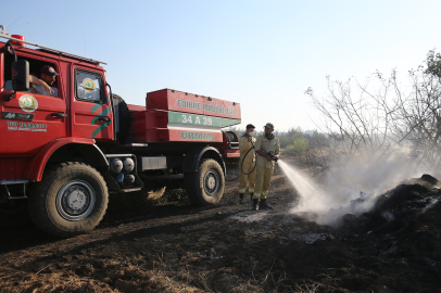 Edirne'de Tarlada Çıkıp Ormana Sıçrayan Yangın Kontrol Altına Alındı