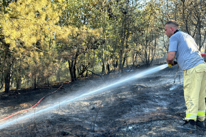 Kırklareli'nde Çıkan Yangında 7 Dönüm Ormanlık Alan Zarar Gördü
