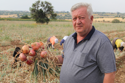 Tescilli Tekirdağ Soğanında Hasat Zamanı