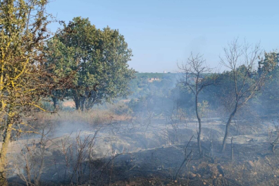 Şarköy’de Çıkan Orman Yangını Söndürüldü