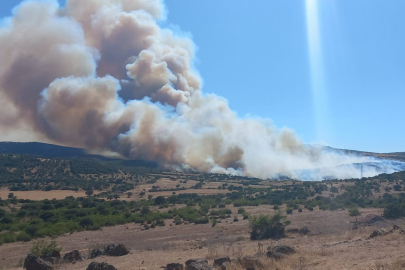 Çanakkale'de Bir Ayda 132 Yangın