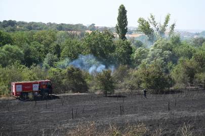 Edirne'de Üniversitenin Botanik Bahçesinde Çıkan Yangın Söndürüldü