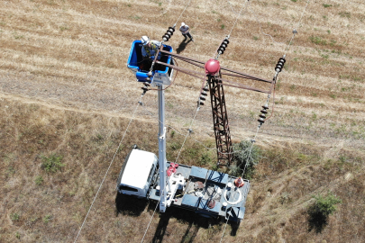 Trakya'da Elektrik Telleri Şah Kartalları İçin İzole Ediliyor