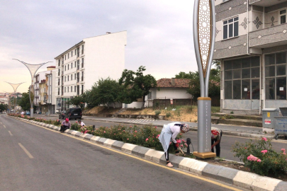 Havsa’da Yol Çiçeklendirme Çalışmaları Sürüyor