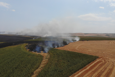 Tekirdağ’da Anız Yangını 500 Dönüm Yandı: Yangın Sürüyor