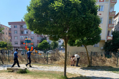 Uyuşturucu Madde Etkisindeki Şahıs Parkta Soyundu