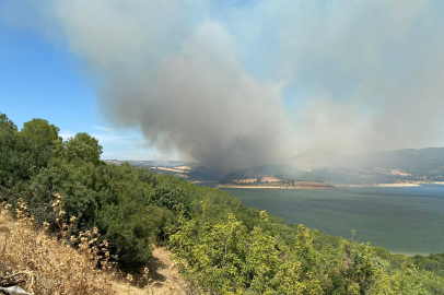 Çanakkale'de Ormanlık Alana Sıçrayan Yangına Müdahale Ediliyor