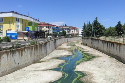 Değirmenaltı Deresi Kurudu