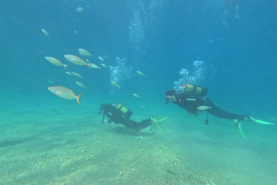 Su Altı Tutkunları Saros Körfezi'nde Tarihe Dalıyorlar