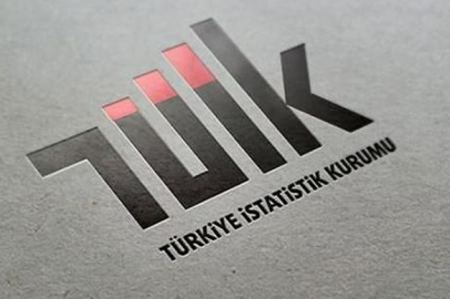 TÜİK Yarın İl Düzeyinde İş Gücü İstatistiklerini Açıklayacak