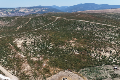 Çanakkale'de Küle Dönen Alanlar Yeniden Yeşeriyor