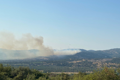 Çanakkale'de Çıkan Orman Yangınına Müdahale Ediliyor