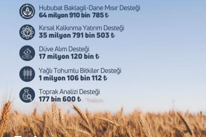 Tarımsal Destek Ödemesi Hesaplara Aktarıldı