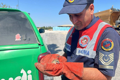 Havsa’da Bulunan “Yediuyur” Yavrusu Koruma Altına Alındı