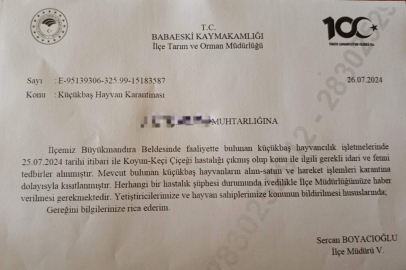 Babaeski’de Küçükbaş Hayvanlarda Çiçek Hastalığına Rastlandı