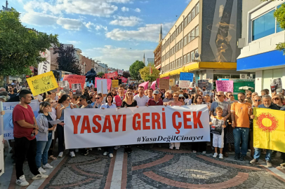 Edirne’de Sokak Hayvanları İçin “Yasayı Geri Çek” Eylemi